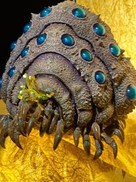 金曜ロードショーとジブリ展　三重展に投稿された画像（2025/2/23）