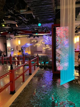 AQUARIUM × ART　atoaに投稿された画像（2025/2/23）