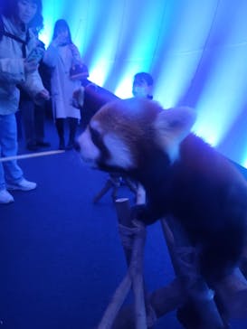 横浜・八景島シーパラダイスに投稿された画像（2025/2/23）