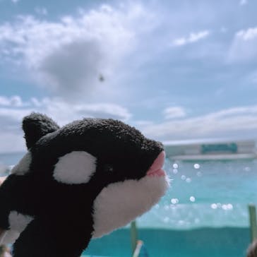 鴨川シーワールドに投稿された画像（2025/2/23）