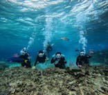 青の洞窟専門店　沖縄ダイビングショップ和に投稿された画像（2025/2/23）