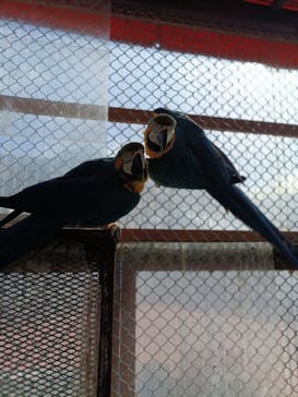 那須ワールドモンキーパークに投稿された画像（2025/2/23）