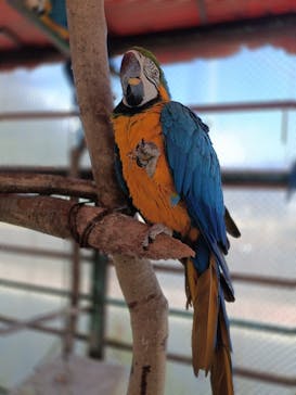 那須ワールドモンキーパークに投稿された画像（2025/2/23）