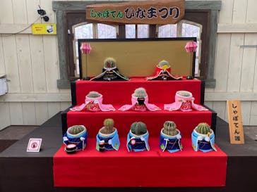 伊豆シャボテン動物公園に投稿された画像（2025/2/23）