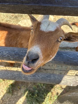 群馬サファリパークに投稿された画像（2025/2/23）