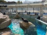 京都水族館に投稿された画像（2025/2/23）