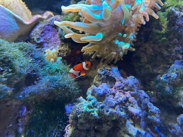 京都水族館に投稿された画像（2025/2/23）