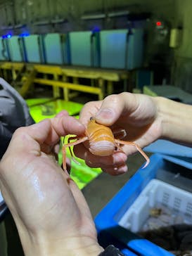 あわしまマリンパークに投稿された画像（2025/2/23）