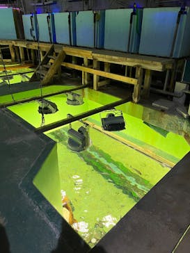 あわしまマリンパークに投稿された画像（2025/2/23）