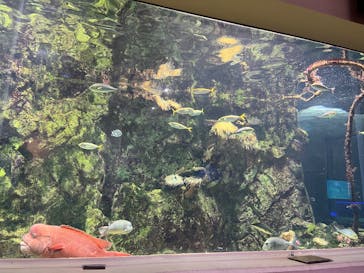 あわしまマリンパークに投稿された画像（2025/2/23）