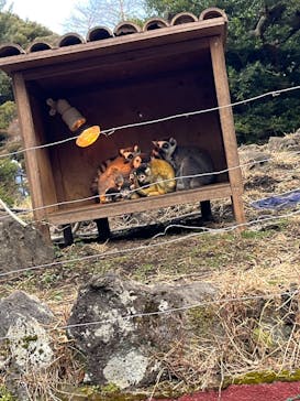 伊豆シャボテン動物公園に投稿された画像（2025/2/23）