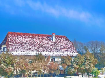 野外民族博物館 リトルワールドに投稿された画像（2025/2/23）