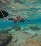 武藤潜水に投稿された画像（2025/2/23）