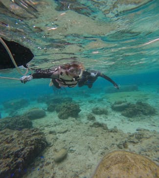 武藤潜水に投稿された画像（2025/2/23）