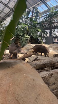 神戸どうぶつ王国に投稿された画像（2025/2/23）