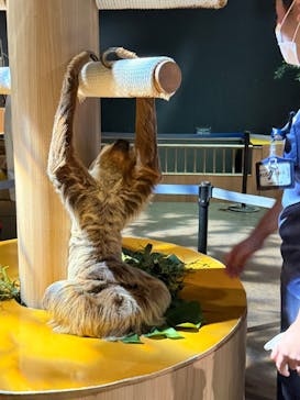 DMMかりゆし水族館に投稿された画像（2025/2/23）