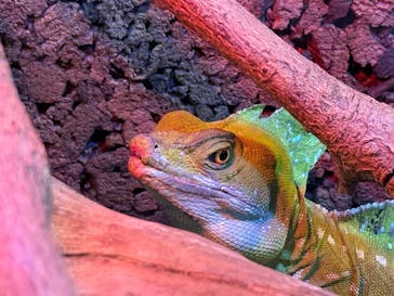 DMMかりゆし水族館に投稿された画像（2025/2/23）