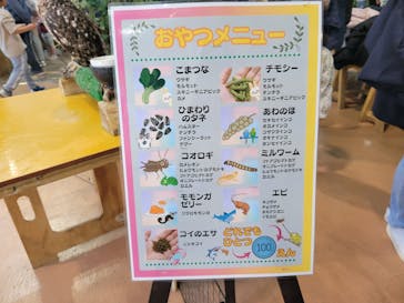 いきもの探検隊上尾に投稿された画像（2025/2/23）