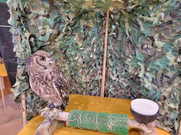 いきもの探検隊上尾に投稿された画像（2025/2/23）