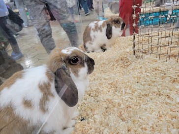 いきもの探検隊上尾に投稿された画像（2025/2/23）