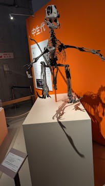 特別展「鳥 ～ゲノム解析が解き明かす新しい鳥類の系統～」国立科学博物館に投稿された画像（2025/2/23）