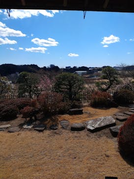 偕楽園本園に投稿された画像（2025/2/23）