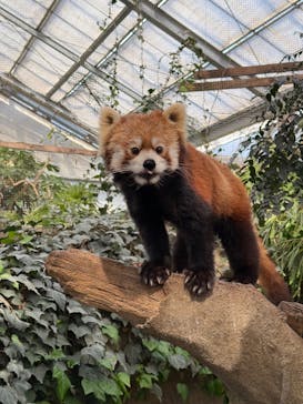 神戸どうぶつ王国に投稿された画像（2025/2/23）