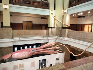 国立科学博物館に投稿された画像（2025/2/23）