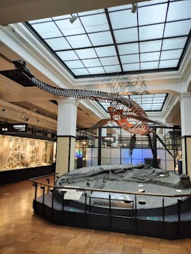 国立科学博物館に投稿された画像（2025/2/23）