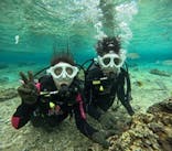 沖縄マリンサービス碧に投稿された画像（2025/2/23）