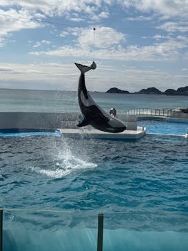 鴨川シーワールドに投稿された画像（2025/2/23）