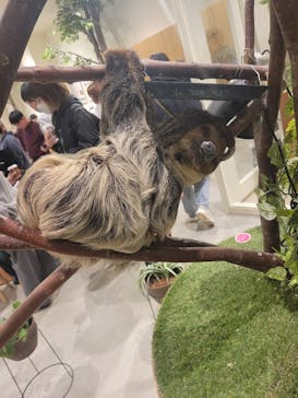 Moff animal cafe イオンモール新利府店に投稿された画像（2025/2/23）