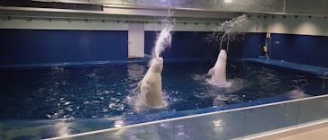 島根県立 しまね海洋館に投稿された画像（2025/2/23）