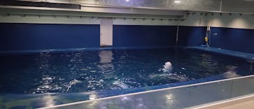 島根県立 しまね海洋館に投稿された画像（2025/2/23）