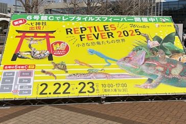 レプタイルズフィーバー Winter 2025に投稿された画像（2025/2/23）
