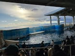 新江ノ島水族館に投稿された画像（2025/2/23）