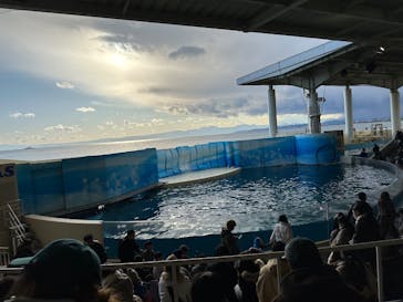 新江ノ島水族館に投稿された画像（2025/2/23）