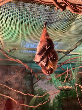 伊豆シャボテン動物公園に投稿された画像（2025/2/23）