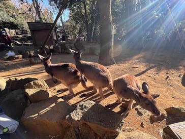 伊豆シャボテン動物公園に投稿された画像（2025/2/23）