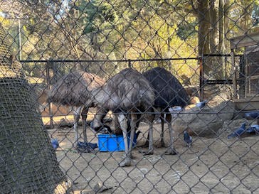 伊豆シャボテン動物公園に投稿された画像（2025/2/23）