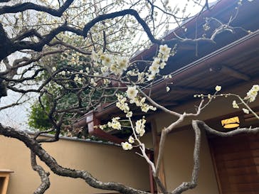 横山大観記念館に投稿された画像（2025/2/23）