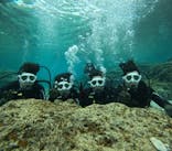 沖縄マリンサービス碧に投稿された画像（2025/2/23）