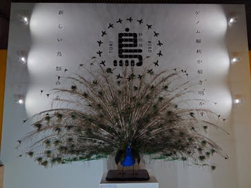 特別展「鳥 ～ゲノム解析が解き明かす新しい鳥類の系統～」国立科学博物館に投稿された画像（2025/2/23）