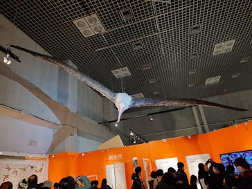 特別展「鳥 ～ゲノム解析が解き明かす新しい鳥類の系統～」国立科学博物館に投稿された画像（2025/2/23）