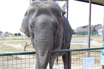 岩手サファリパークに投稿された画像（2025/2/23）