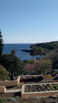 ニューヨークランプミュージアム＆フラワーガーデンに投稿された画像（2025/2/23）