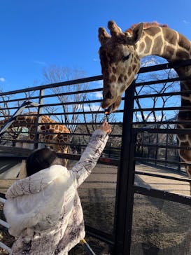 宇都宮動物園に投稿された画像（2025/2/23）