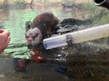 伊豆シャボテン動物公園に投稿された画像（2025/2/23）