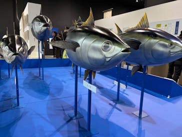 特別展「和食～日本の自然、人々の知恵～」に投稿された画像（2025/2/23）