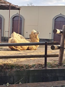 東武動物公園に投稿された画像（2025/2/23）